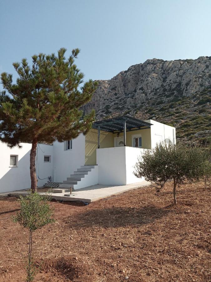 Albatros Studios & Apartments Lefkos  Exterior foto