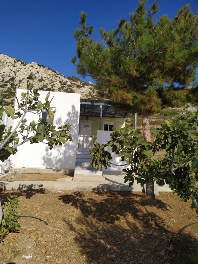 Albatros Studios & Apartments Lefkos  Exterior foto